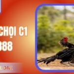 Đá Gà Chọi C1 AE888 – Trải Nghiệm Gà Đòn Truyền Thống