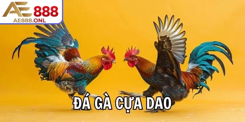 Trải Nghiệm Đá Gà Cựa Dao AE888 Chuẩn Chất Lượng Và Hấp Dẫn 1 Đá gà cựa dao AE888 có hệ thống cá cược trực quan, dễ sử dụng