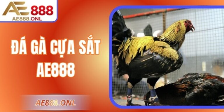 Đá Gà Cựa Sắt AE888 – Sân Chơi Cho Người Đam Mê Chiến Kê