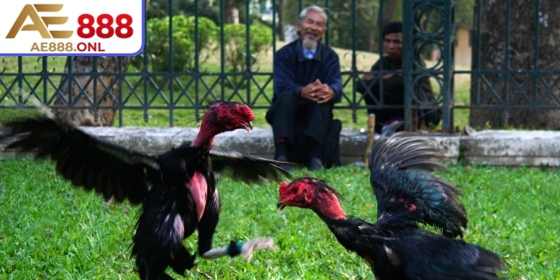 Quan sát dáng đứng giúp người xem đánh giá chính xác phong độ từng đối thủ