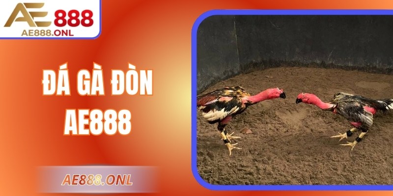 Đá Gà Dòn AE888 – Trải Nghiệm Thi Đấu Dành Cho Người Đam Mê