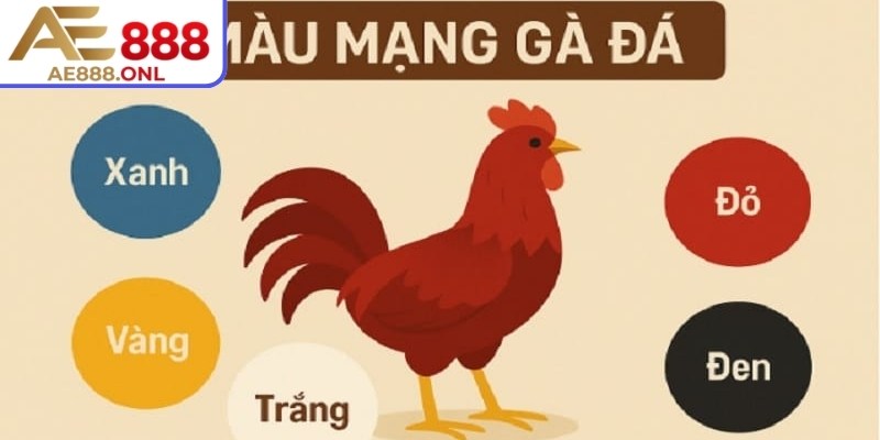 Theo dõi kết quả thắng thua theo màu mạng giúp điều chỉnh chiến thuật phù hợp