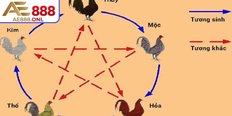 Tìm hiểu về màu mạng đá gà theo ngày AE888