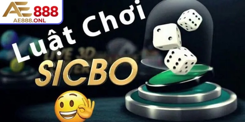 Dự đoán kết quả của ba viên xúc xắc sau khi Dealer hoặc hệ thống tự động tung